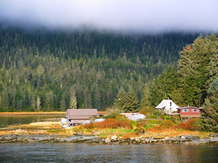 đảo gấu ở Bắc Mỹ