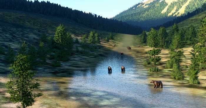 đảo gấu ở Bắc Mỹ