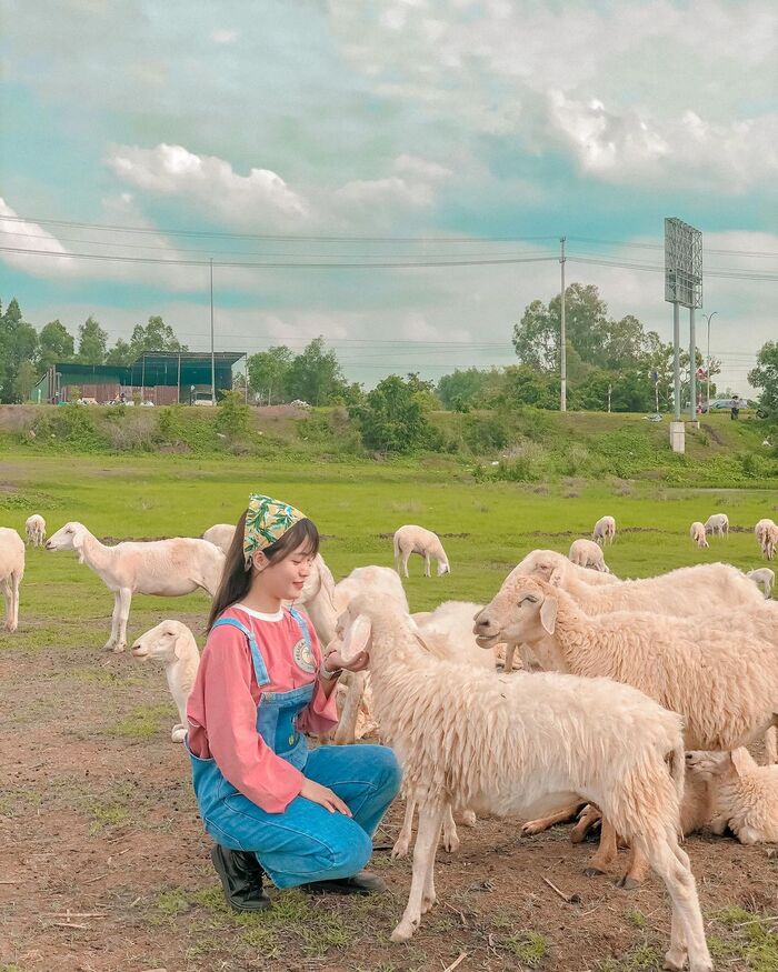 Có gì tại hồ Cốc Vũng Tàu – ‘Thiên đường xanh’ nổi tiếng tại thành phố biển