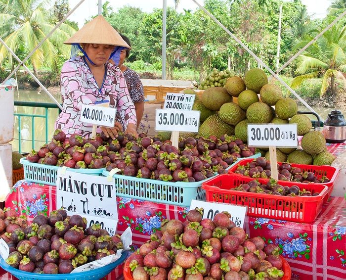 Ghé thăm vườn trái cây Lái Thiêu – ‘Thánh địa” hoa quả hấp dẫn tại Bình Dương