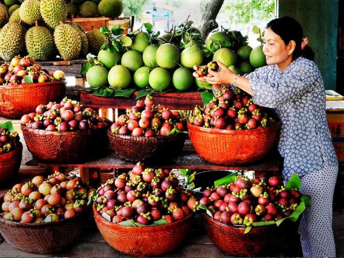 Ghé thăm vườn trái cây Lái Thiêu – ‘Thánh địa” hoa quả hấp dẫn tại Bình Dương