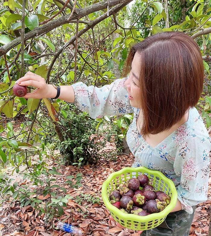 Ghé thăm vườn trái cây Lái Thiêu – ‘Thánh địa” hoa quả hấp dẫn tại Bình Dương