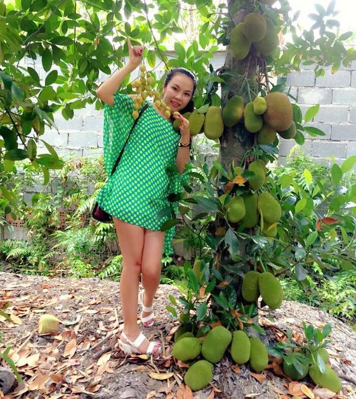 Ghé thăm vườn trái cây Lái Thiêu – ‘Thánh địa” hoa quả hấp dẫn tại Bình Dương