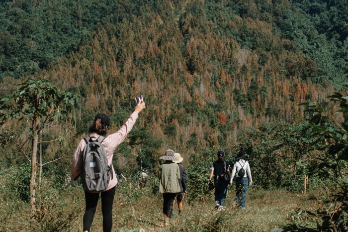 cắm trại rừng lá phong ở Quảng Trị