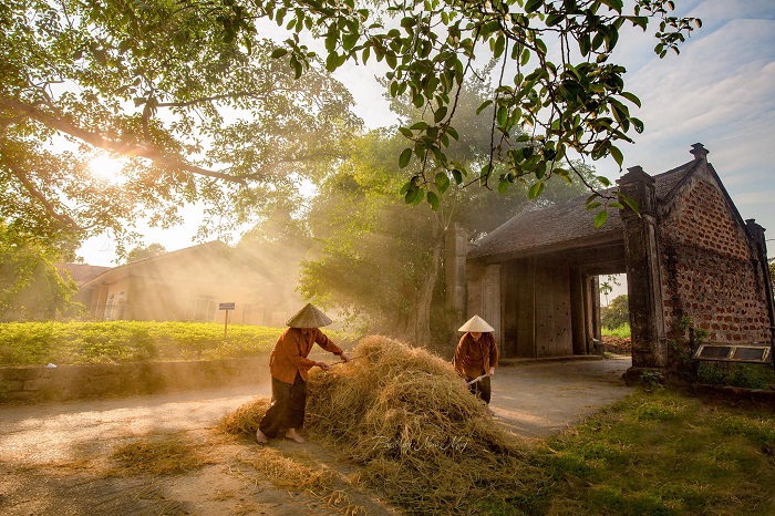 Khung cảnh bình dị tại làng cổ Đường Lâm - Điểm du xuân tại Hà Nội 