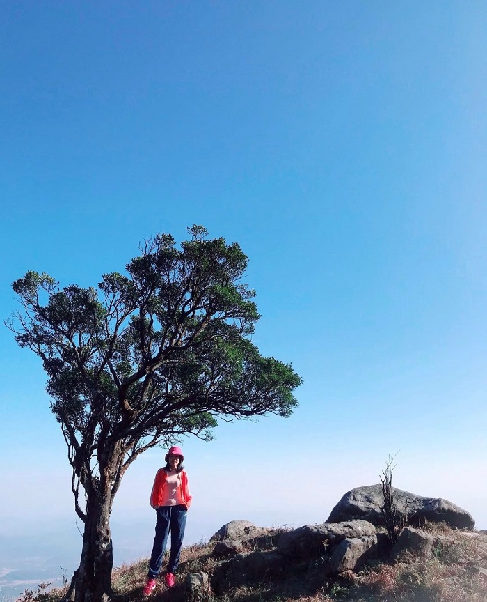 Bạn có thể săn mây tuyệt đẹp trên đỉnh Phia Pò Lạng Sơn