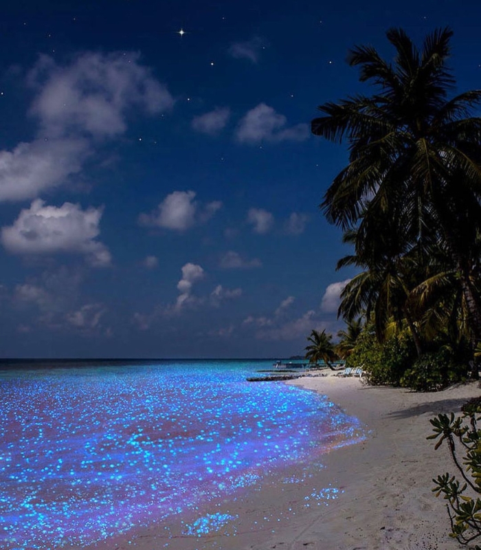 Du lịch Maldives - Khung cảnh tuyệt đẹp bãi biển Vaadhoo