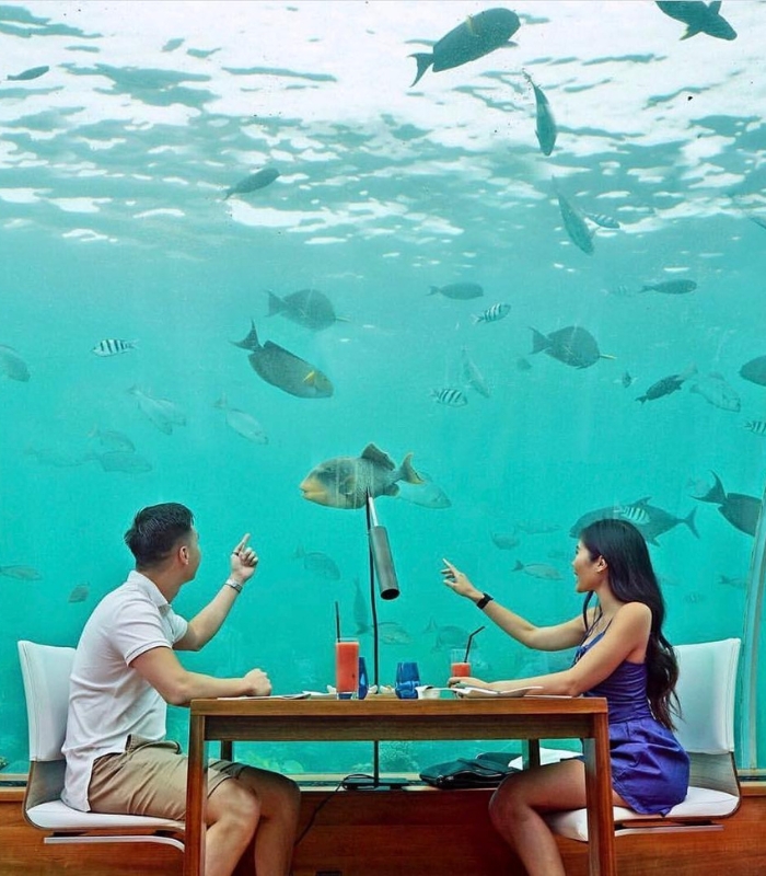 Du lịch Maldives - Nhà hàng dưới biển Ithaa là một địa điểm ăn uống, tham quan nổi tiếng tại Maldives
