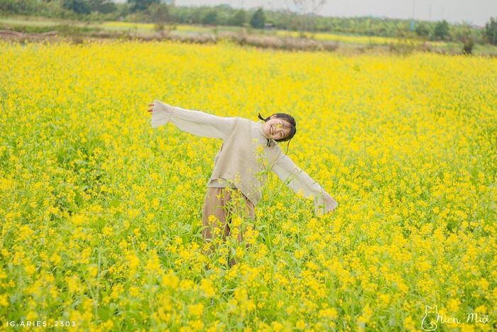 du lịch Bắc Ninh dịp cuối năm ngắm cánh đồng hoa cải bên sông Đuống 
