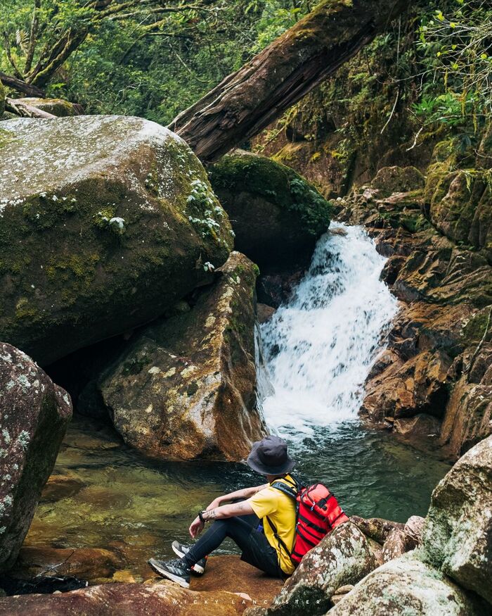 chiêm ngưỡng khung cảnh thác đổ, suối chảy tại vườn quốc gia ở Tây Nguyên