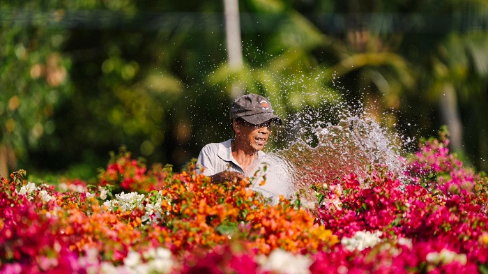 Tới Làng hoa Sa Đéc thưởng hoa và chụp ảnh