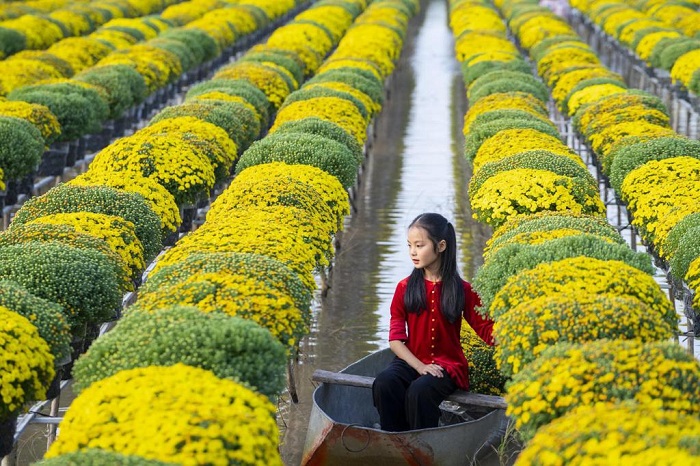 Tết đến xuân về nhất định phải tới Làng hoa Sa Đéc