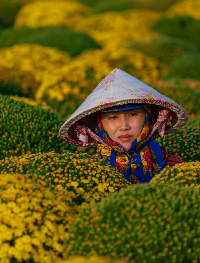 Bức tranh miền quê tràn đầy sắc màu tại Làng hoa Sa Đéc