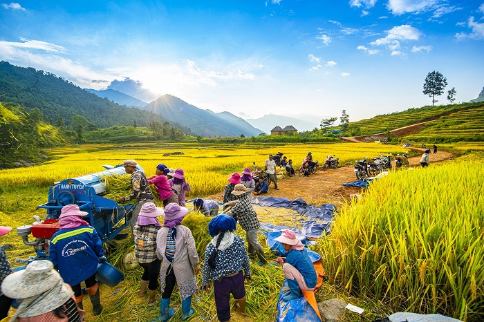 Kinh nghiệm du lịch Bát Xát Lào Cai rằng thăm ruộng bậc thang Thề Pả - danh lam thắng cảnh quốc gia