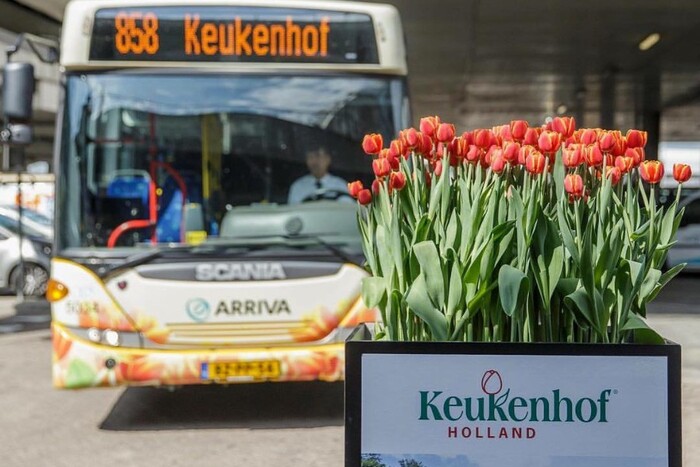 Xe bus giúp bạn di chuyển đến lễ hội hoa Keukenhof 