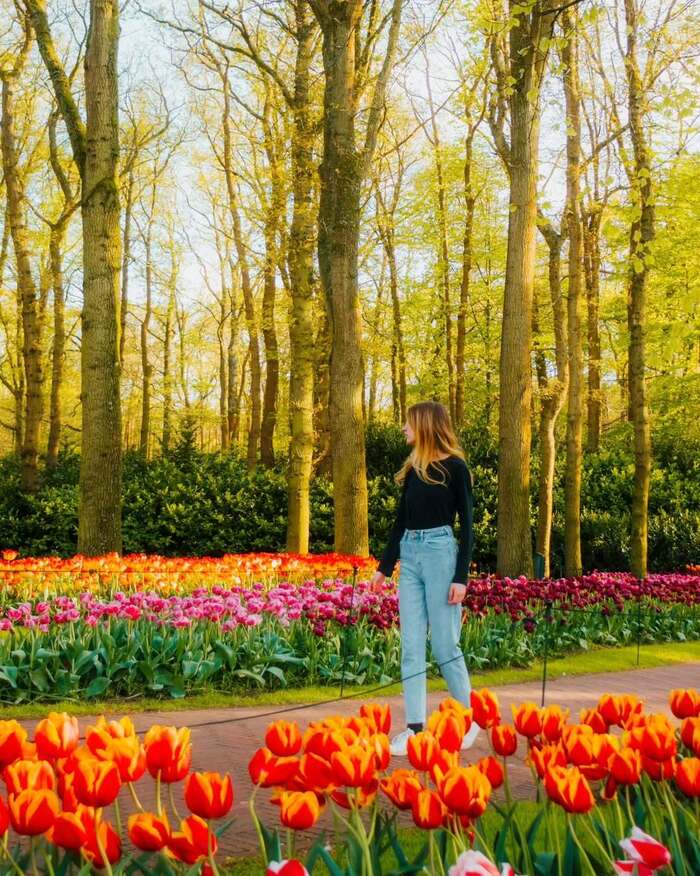 Lễ hội hoa Keukenhof mỗi năm đều đón tiếp rất đông du khách ghé thăm