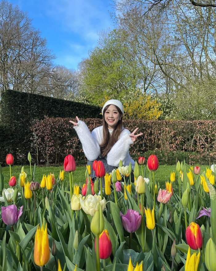 Lễ hội hoa Keukenhof bắt đầu từ cuối tháng 3 và kết thúc vào đầu tháng 5