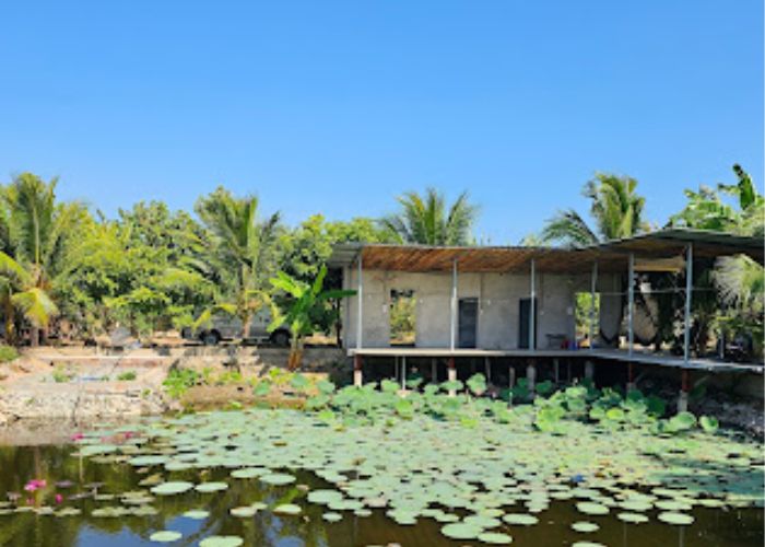 Top 10+ homestay Vũng Tàu gần biển "cực chill" cho kỳ nghỉ 2026