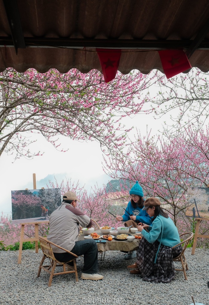 Bữa cơm giản dị của người dân giữa vườn đào Tà Xùa – nơi mùa xuân hiện diện trong những khoảnh khắc đời thường nhất. Ảnh: Diệp Hữu Đạt