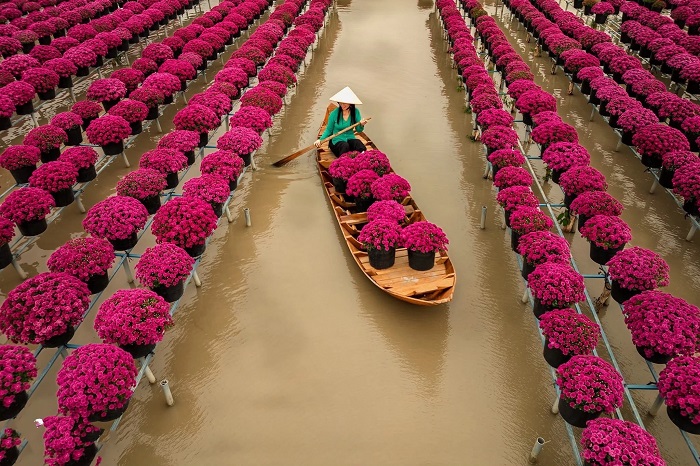 Làng hoa miền Tây đẹp Sa Đéc nhiều loài hoa rực rỡ