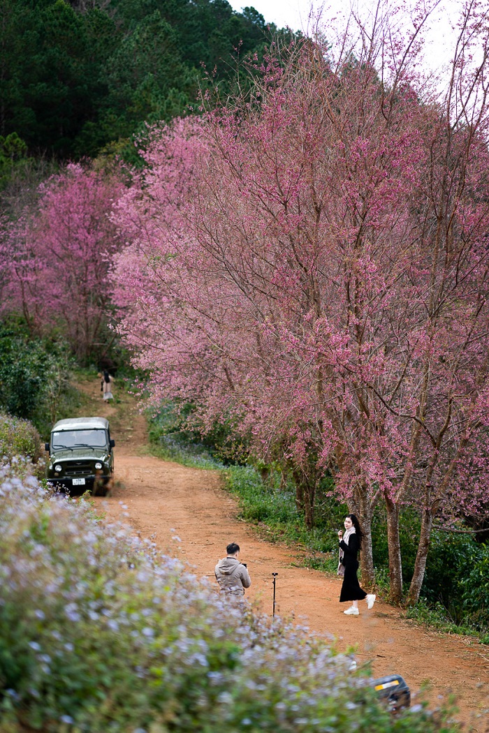 Mộng Đào Nguyên Đà Lạt vẫn còn giữ được vẻ hoang sơ