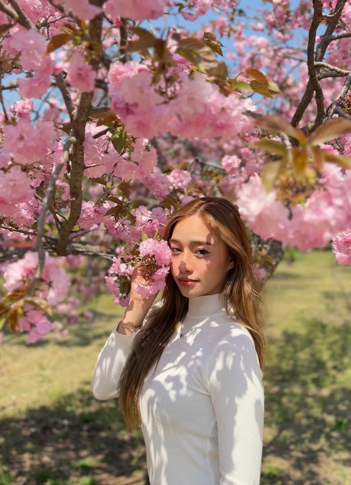 Mùa xuân Hàn Quốc nên đi đâu, đảo Nami tràn đầy nhựa sống trong mùa xuân