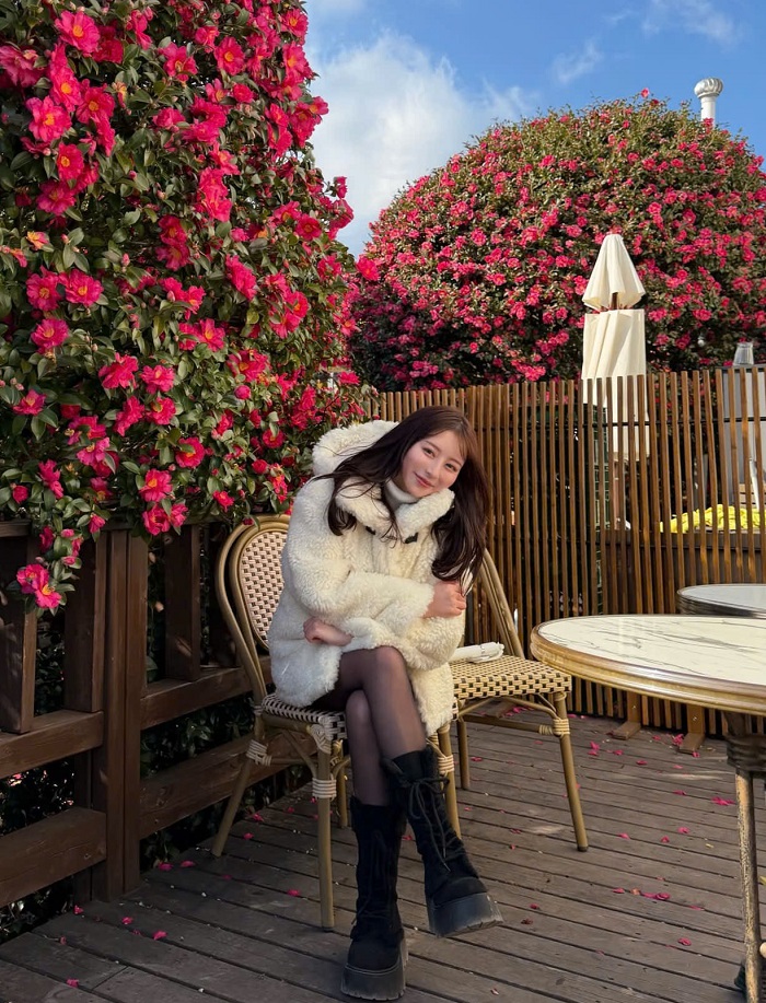 Mùa xuân Hàn Quốc nên đi đâu, bỏ túi kinh nghiệm du lịch Hàn Quốc mùa xuân