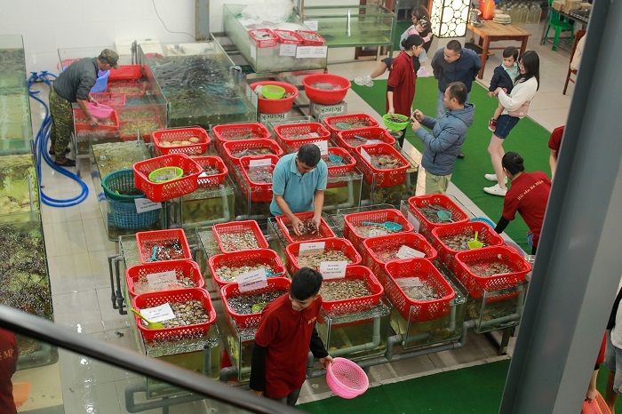 review quán Hải sản Bé Mặn Đà Nẵng tự do chọn hải sản 