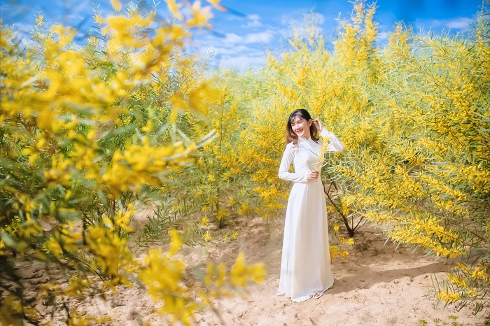 Ghé rừng keo lá tràm Mũi Né để có ảnh đẹp mang về trong chuyến đi nào