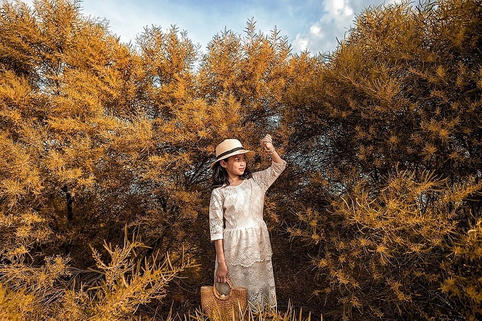 Có một rừng keo lá tràm Mũi Né đẹp như trong tranh vẽ