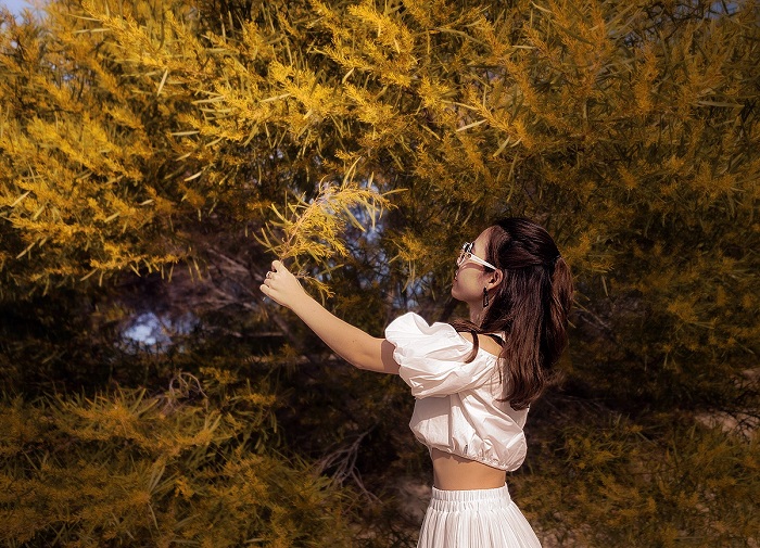 Thời gian lý tưởng nhất để check in với rừng keo lá tràm Mũi Né là buổi sáng