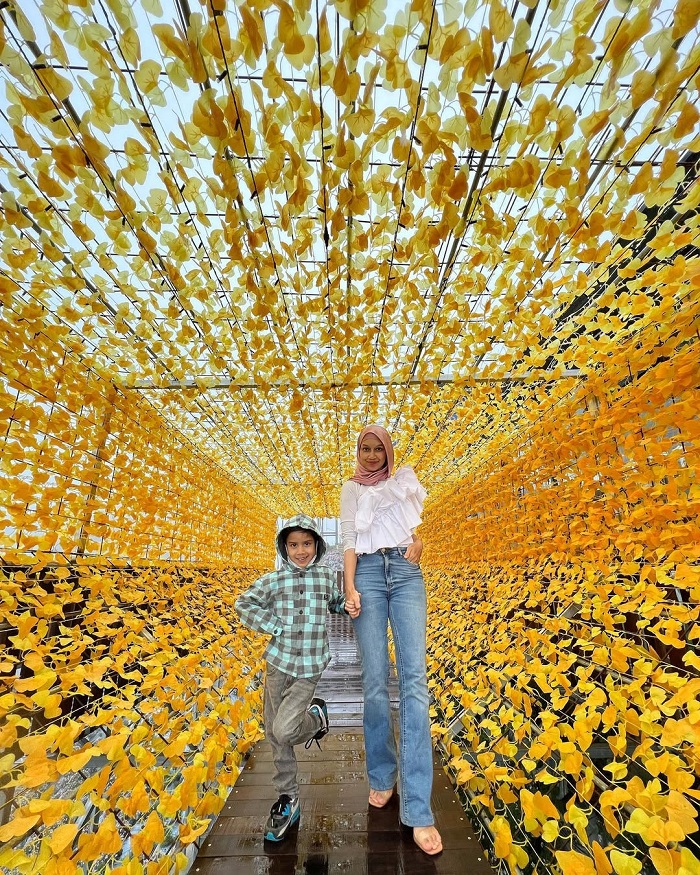 Công viên hoa Cameron Flora Malaysia với các khu vực trong nhà và ngoài trời