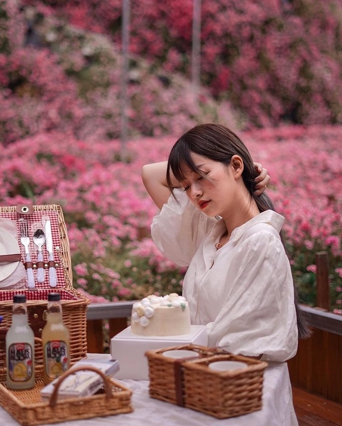 Công viên hoa Cameron Flora Malaysia mang đến trải nghiệm đặc sắc cho du khách