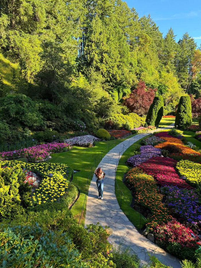 Các địa điểm du lịch Canada mùa xuân - Vườn hoa Butchart – Victoria