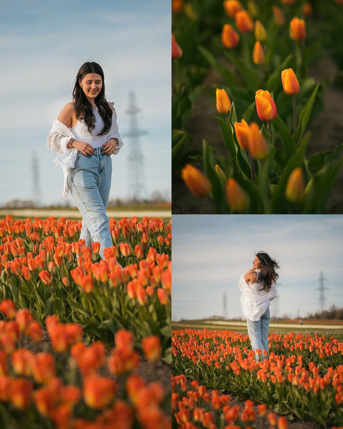 Các địa điểm du lịch Canada mùa xuân - Ontario