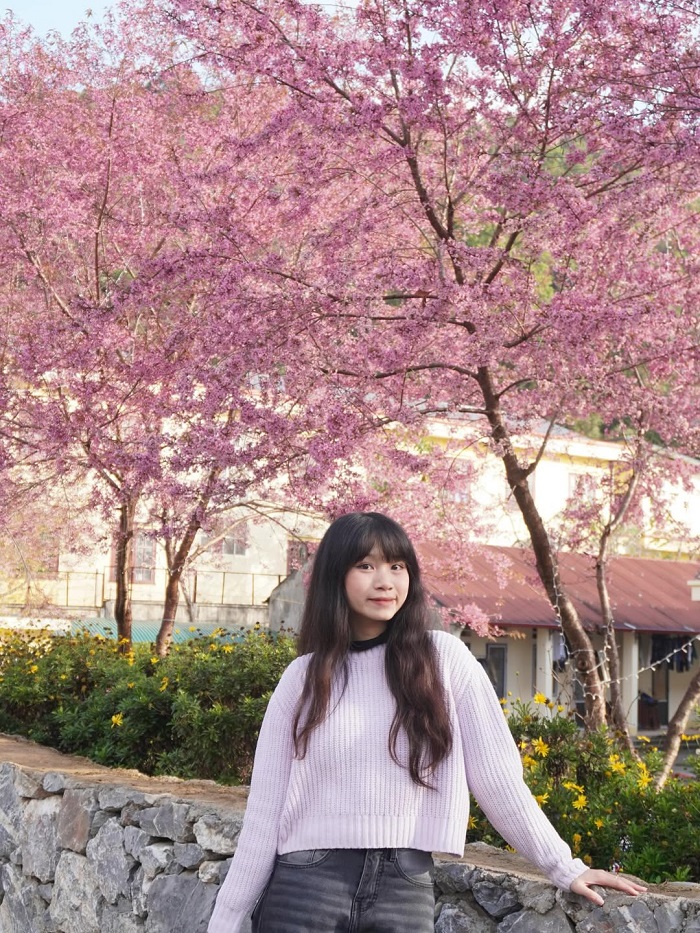 Lô Lô Chải là địa điểm ngắm hoa đào Hà Giang đẹp nức nở