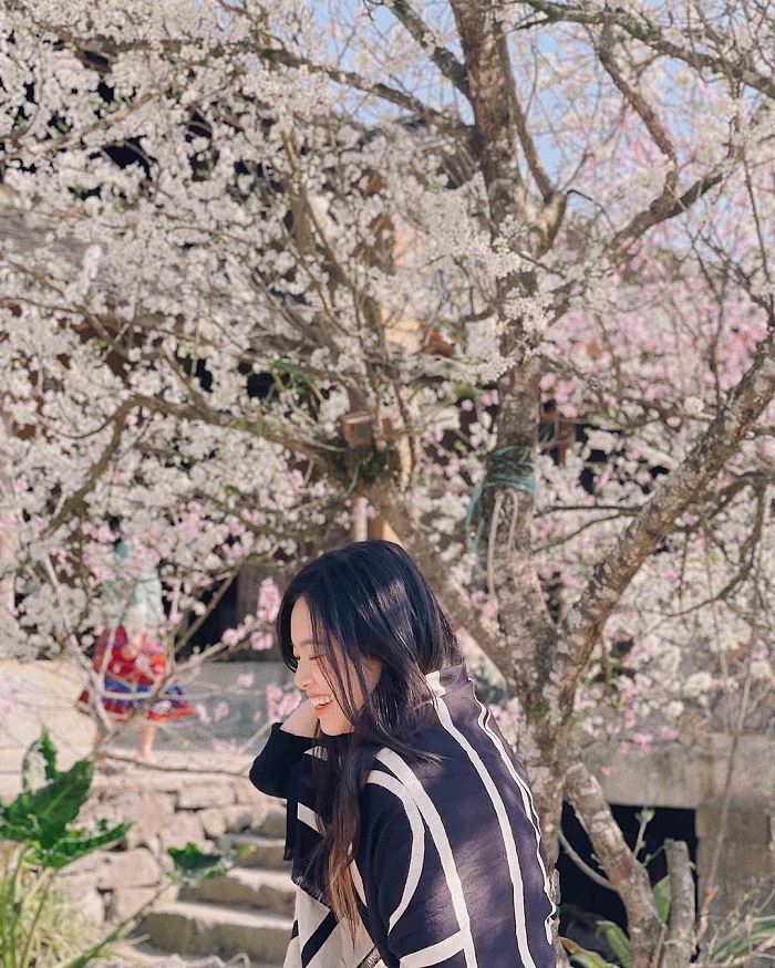 Lao Xa là địa điểm ngắm hoa đào Hà Giang không thể bỏ qua