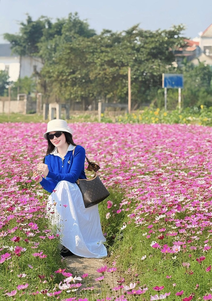 Cánh đồng hoa Gia Viễn là điểm check in mới ở Ninh Bình dịp Tết