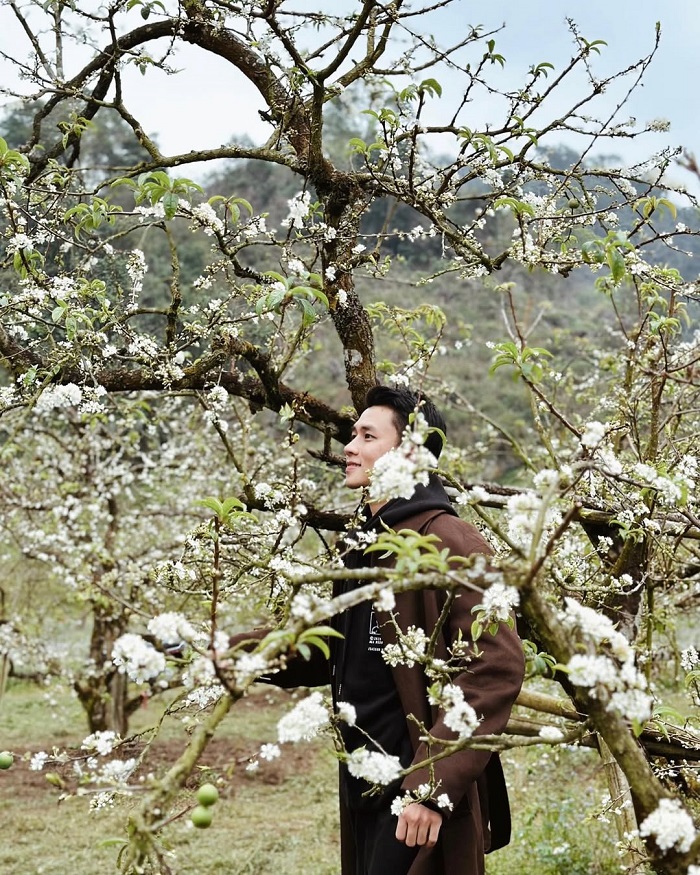 Lưu ý khi khám phá các điểm ngắm hoa mận Mộc Châu