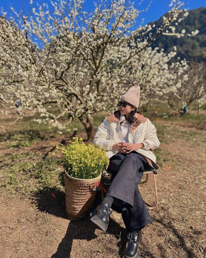 Lưu ý khi khám phá các điểm ngắm hoa mận Mộc Châu