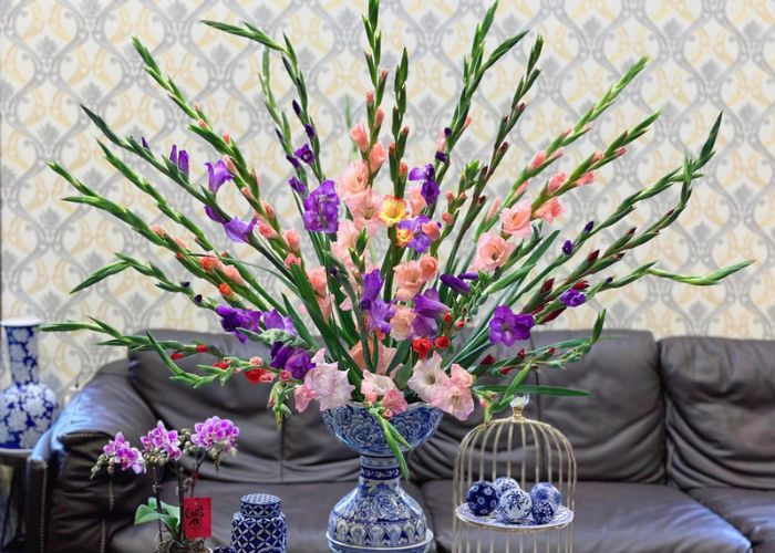 Hoa Lay Ơn chơi Tết