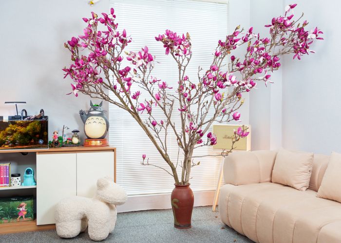 Giá cả hoa Mộc Lan chơi Tết