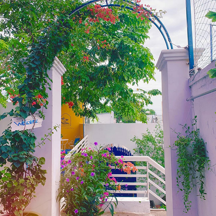 Suna's HOME - homestay phong cách Hàn Quốc