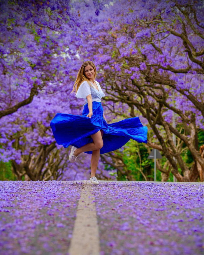 Kinh nghiệm du lịch Nam Phi mùa xuân - Khám phá Pretoria