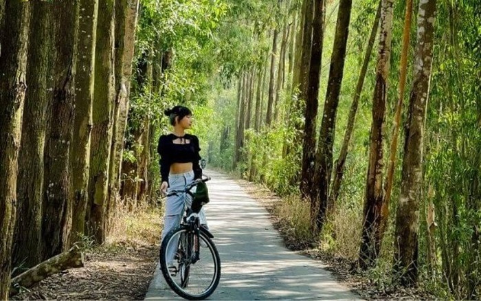 Kinh nghiệm du lịch rừng tràm Trà Sư An Giang – Khám phá những trải nghiệm thú vị không thể bỏ lỡ