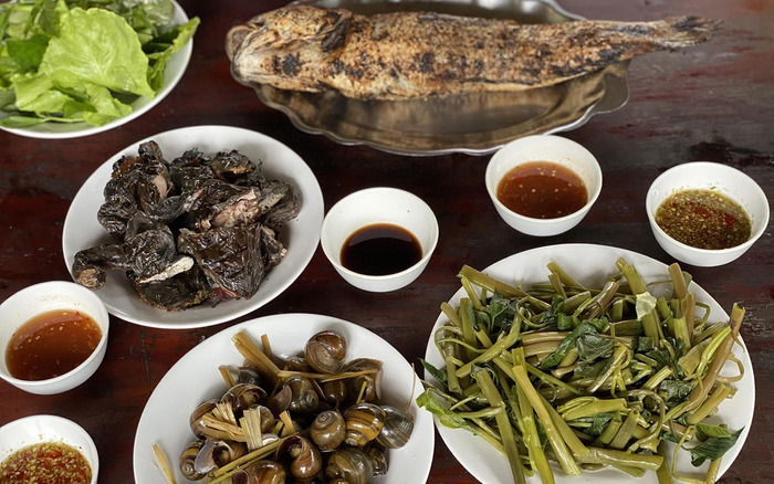 Kinh nghiệm du lịch rừng tràm Trà Sư An Giang – Khám phá những trải nghiệm thú vị không thể bỏ lỡ