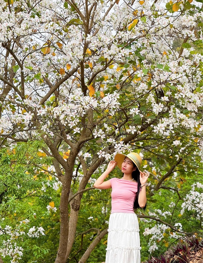 Lưu ý khi khám phá Mu Náu Farm Mộc Châu