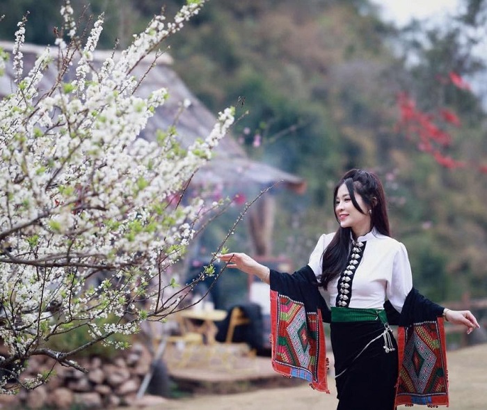 Mu Náu Farm Mộc Châu còn có mùa hoa mận trắng