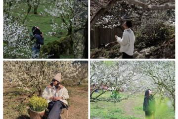 Những điểm ngắm hoa mận Mộc Châu ‘đẹp điên’, khiến du khách đứng ngồi không yên