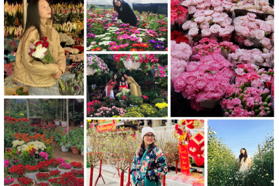 Những khu chợ hoa đẹp tại Hà Nội quy mô lớn, bán không thiếu loại hoa nào